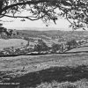 Walterclough Valley